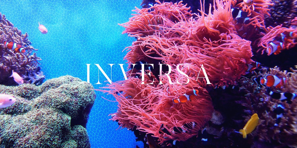 YOTAM SOLOMON (@yotamsolomon) on Twitter photo Announcing my new advisory board role at #INVERSALEATHERS. My goal is to support INVERSAās growth and #innovation while advocating for #education around invasive species, an important #climatechange issue, caused by human intervention. prn.to/3vWoVKv <a href="/PRNewswire/">PR Newswire</a> #eco Announcing my new advisory board role at #INVERSALEATHERS. My goal is to support INVERSAās growth and #innovation while advocating for #education around invasive species, an important #climatechange issue, caused by human intervention. prn.to/3vWoVKv <a href="/PRNewswire/">PR Newswire</a> #eco