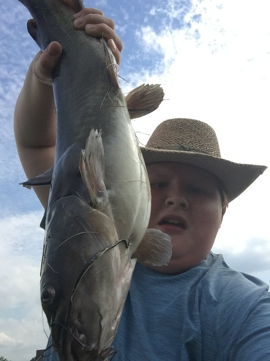 Fins & Spins/YMS PE tweet media