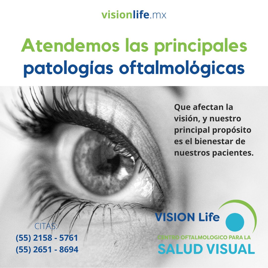 Contáctanos, saca tu cita:
visionlife.mx/contactanos/

📞   CITAS: (55) 2158 - 5761 y (55) 2651 - 8694

#VisionLife #CentroOftalmologicoAragon #SaludVisual #OptometriaenAragon #Retina #Catarata #Glaucoma #CirugiadeCatarata #DesprendimientodeRetina #SoyOftalmologoCertificado