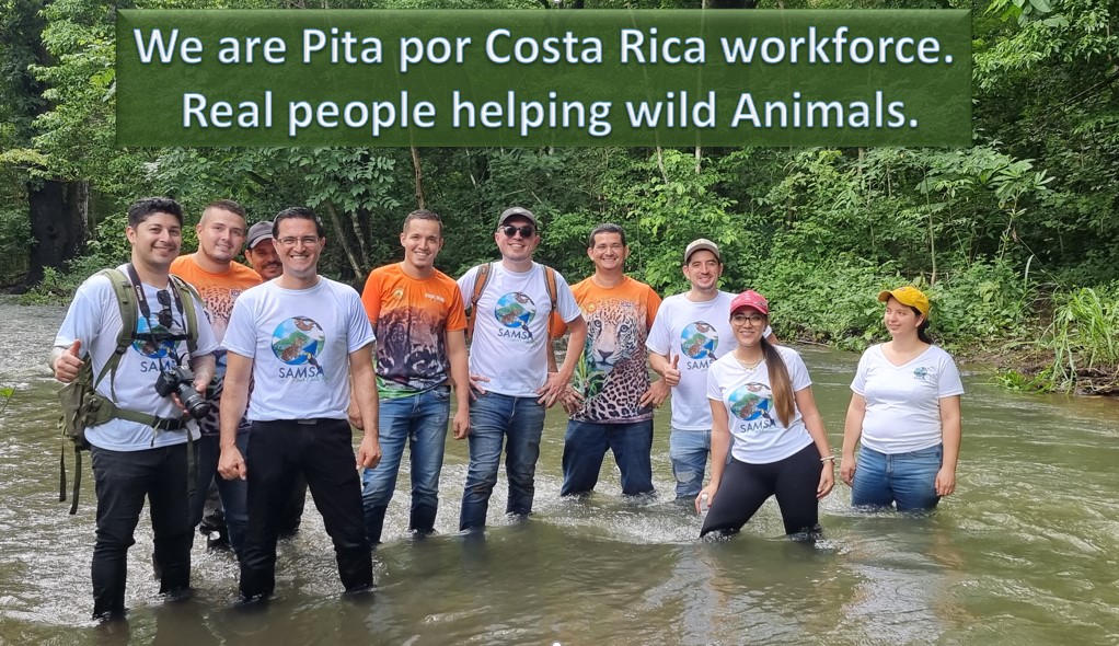PITA POR COSTA RICA tweet media