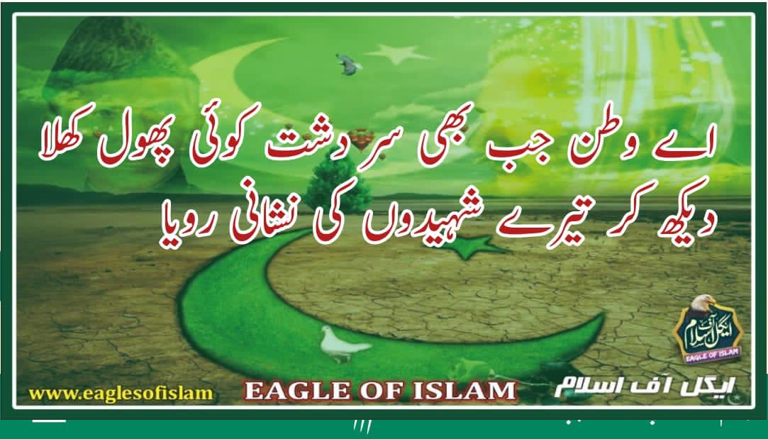 #میری_پہچان_پاکستان
The Green Color Of Pakistani Flag Says “Keep Going” So, Happy Resolution Day To All Pakistanis