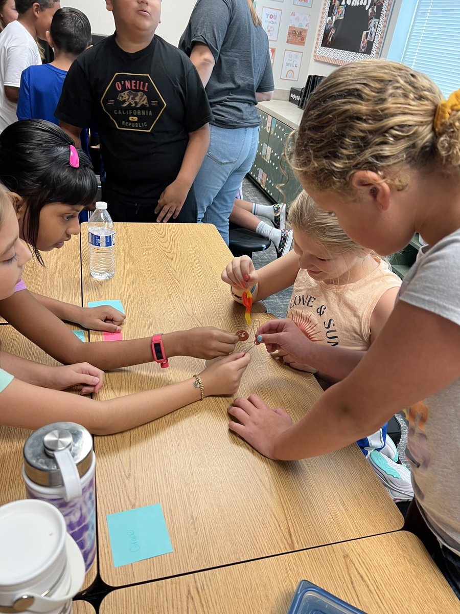 Lisa Jones tweet media