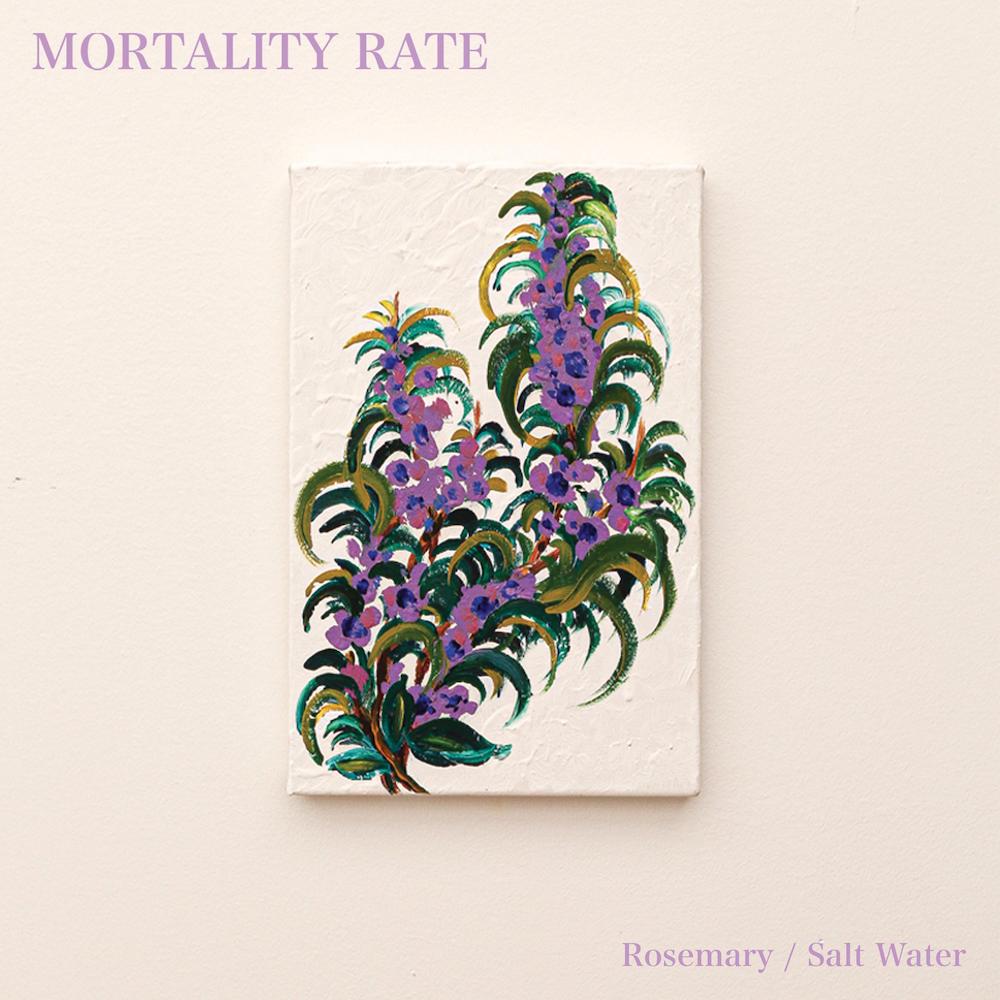 Canadian hardcore band Mortality Rate return with two killer new songs, "Rosemary" &amp; "Salt Water" brooklynvegan.com/mortality-rate…
