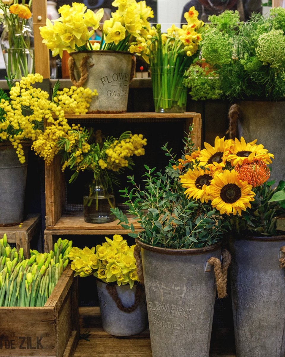 Good Sixty tweet media