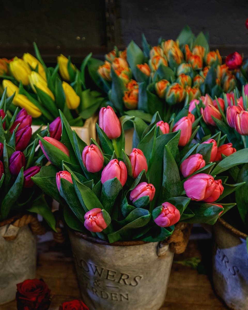 Good Sixty tweet media