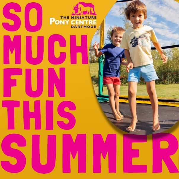 MiniPonyDevon's tweet image. Our top 10 family moments to have at The Miniature Pony Centre!

READ_MORE miniatureponycentre.com/news/

.
.
.
.
.
#whatsondevon #plymouth #devon #exeter #southdevon