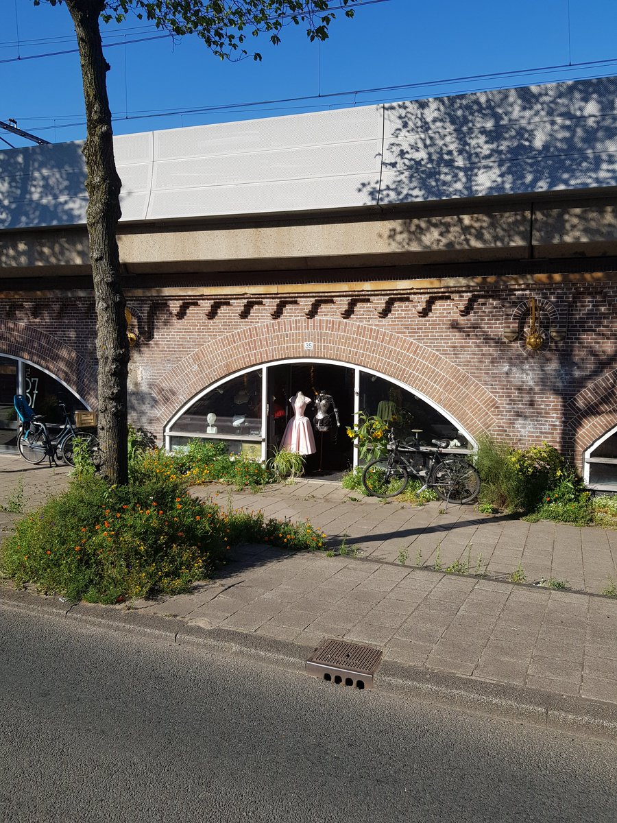 jeroen van der klis tweet media