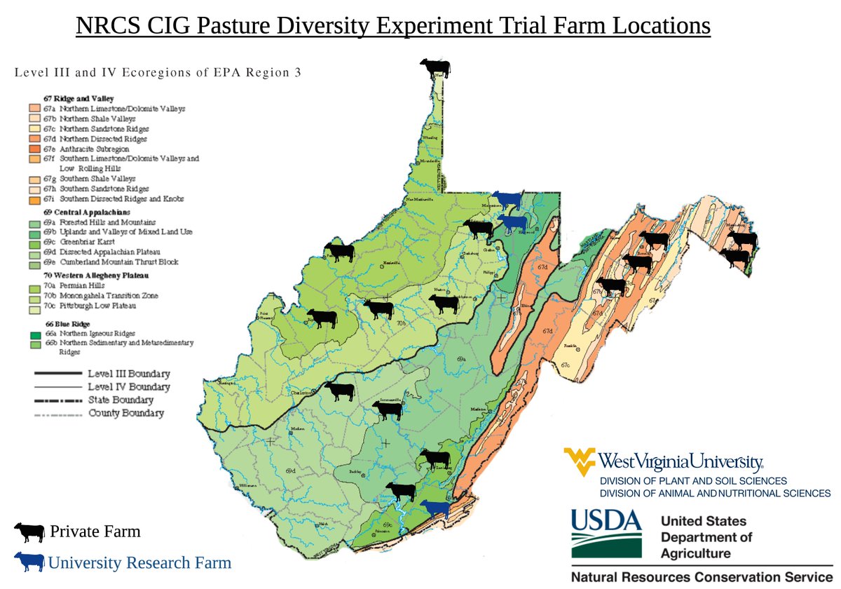 kinseyreed's tweet photo. I'll also take this opportunity to share some pictures from our field work this past spring setting up one-acre plots on 17 farms around the state for an applied pasture renovation (plant diversity) study funded by a Conservation Innovation Grant @USDA_NRCS https://t.co/293JhEnauI