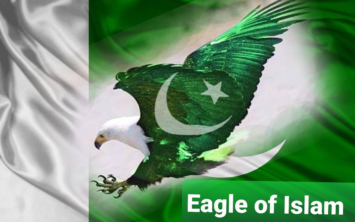 It was quite a big day in history. Prominent Muslim leaders from all over India attended the session, and there was finally a legitimate solution to the centuries-old struggle of Muslims to gain sovereignty and freedom
#میری_پہچان_پاکستان