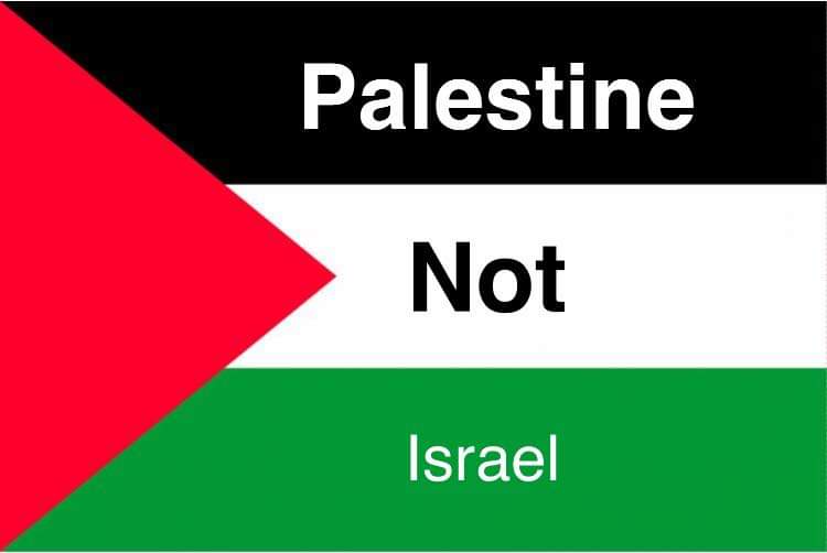 zahedah (@md71672562) on Twitter photo 
