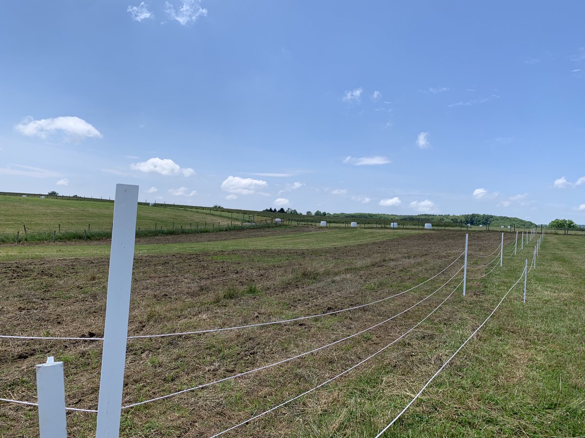 kinseyreed's tweet photo. The experiment will be at least 4 years long and we'll be measuring just about every soil health metric we are capable of. Also, PVC fencing is awesome for semi-permanent experimental use. https://t.co/vVx6190BKZ