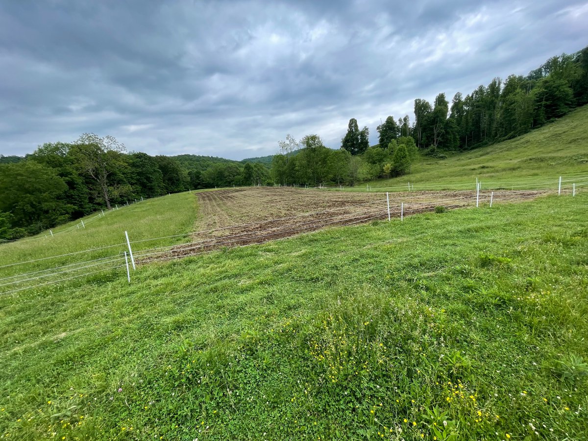 kinseyreed's tweet photo. The experiment will be at least 4 years long and we'll be measuring just about every soil health metric we are capable of. Also, PVC fencing is awesome for semi-permanent experimental use. https://t.co/vVx6190BKZ