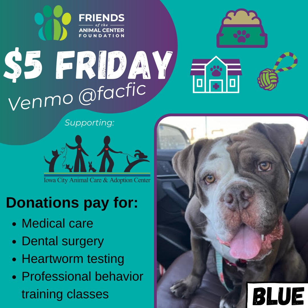 Happy $5 Friday! Blue says thank you for all you do 

#iowacity #iowacityanimalshelter #iowacitydogs #iowacityanimals #iowacitycats