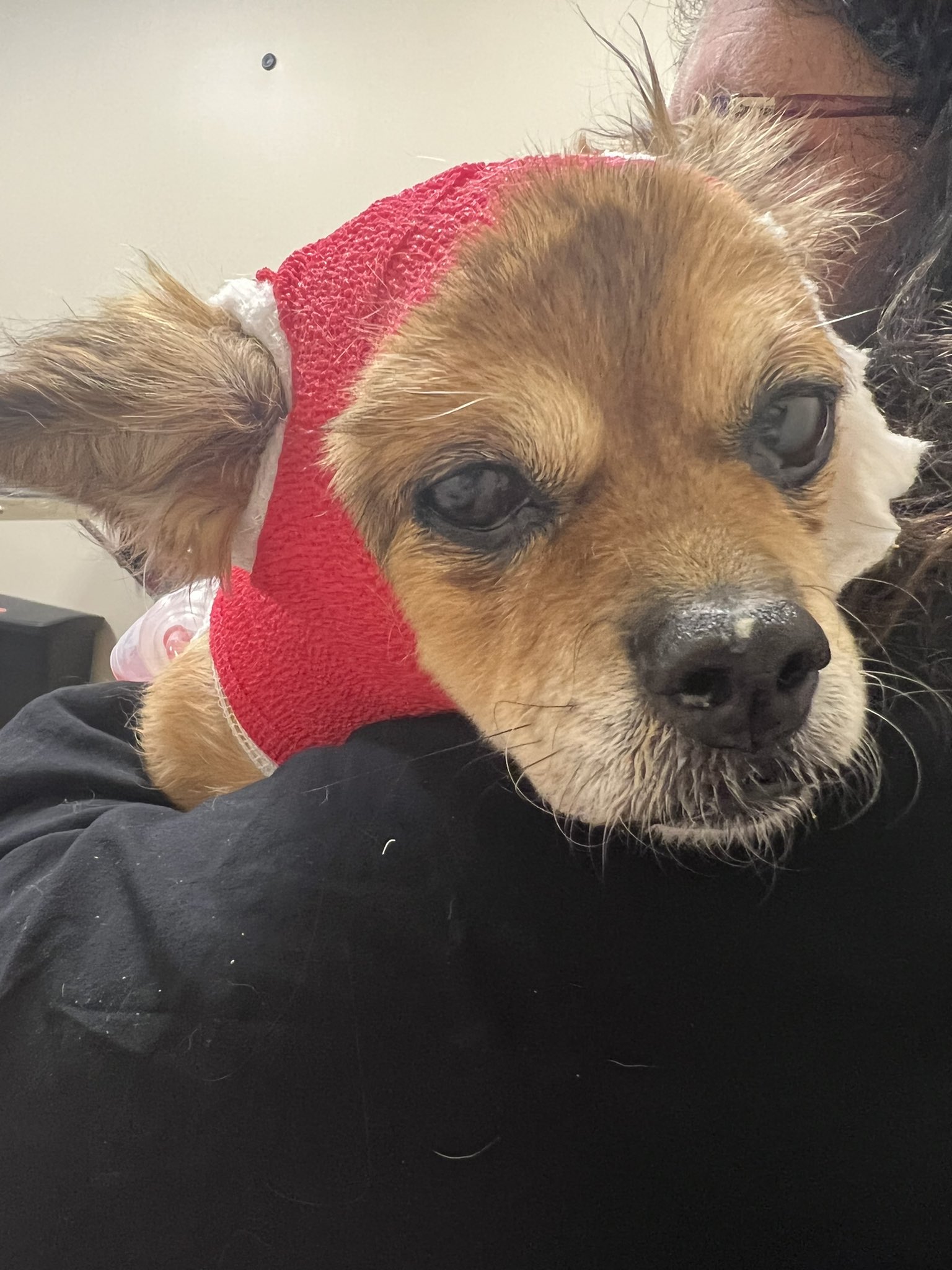 FaZe Fakie (Fakie) / Twitter