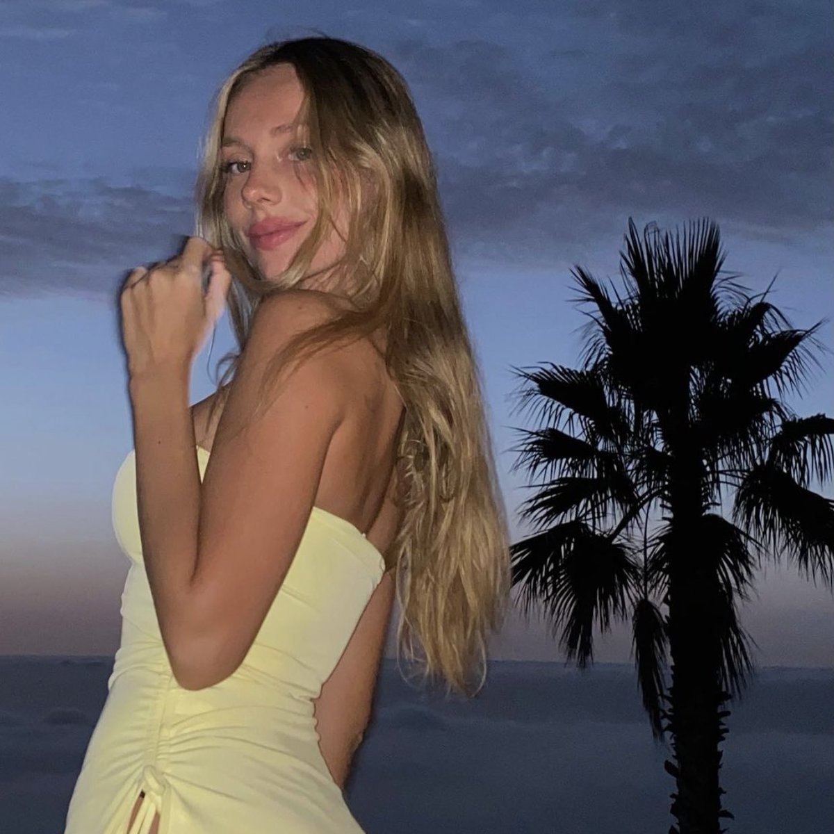 llavenus tweet picture
