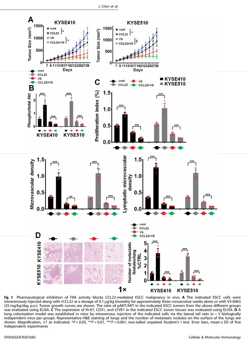 CrozrX's tweet photo. Tumor-associated macrophage (TAM)-derived CCL22 induces FAK addiction in esophageal squamous cell carcinoma #ESCC.
#FAKi #Defactinib
https://t.co/tLsHYsPvva https://t.co/K6SYQZMTNG