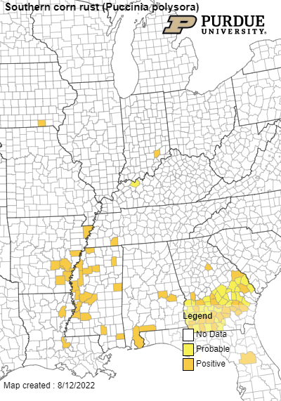 Darcy Telenko (@dtelenko) on Twitter photo Both the tar spot and southern corn rust maps have been updated for Indiana today. Keep scouting. Credit to <a href="/Mariela24fdez/">Mariela Fernandez 🇨🇷</a> for the rust find. extension.purdue.edu/news/fieldcrop… <a href="/badgercropdoc/">Damon L. Smith</a> <a href="/MartinChilvers1/">Martin Chilvers</a> <a href="/AlbertTenuta/">Albert Tenuta</a> <a href="/cropdoc08/">Kiersten Wise</a> <a href="/PurdueExtension/">Purdue Extension</a> Both the tar spot and southern corn rust maps have been updated for Indiana today. Keep scouting. Credit to <a href="/Mariela24fdez/">Mariela Fernandez 🇨🇷</a> for the rust find. extension.purdue.edu/news/fieldcrop… <a href="/badgercropdoc/">Damon L. Smith</a> <a href="/MartinChilvers1/">Martin Chilvers</a> <a href="/AlbertTenuta/">Albert Tenuta</a> <a href="/cropdoc08/">Kiersten Wise</a> <a href="/PurdueExtension/">Purdue Extension</a>