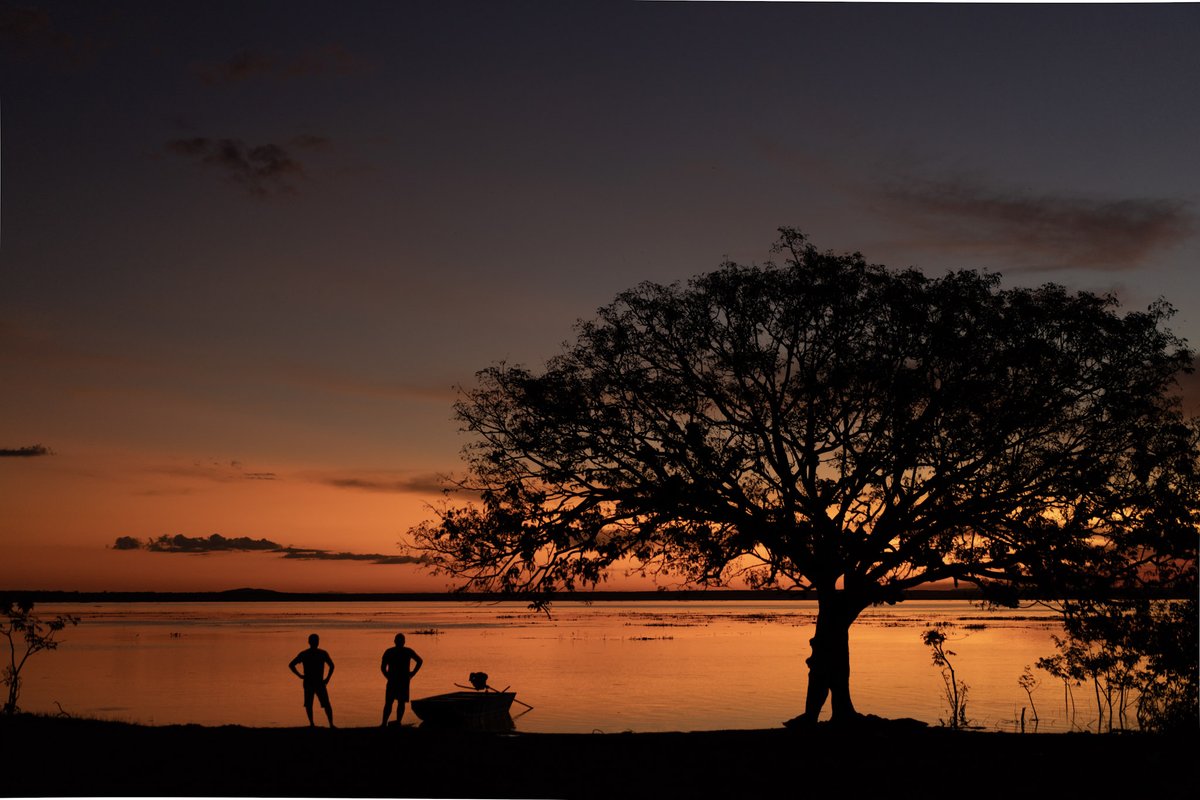 We are excited to announce that @eForestWorld,  <a href="/thegoodapi/">thegoodapi</a>, and others are all now Seedling level partners! Together they have funded the planting of over 680,000 trees! Thank you to all of our partners who support the planting of millions of trees.