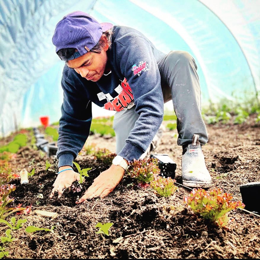 The Cottage tweet media