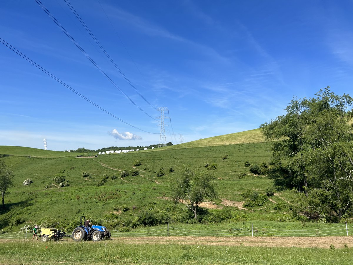 kinseyreed's tweet photo. The experiment will be at least 4 years long and we'll be measuring just about every soil health metric we are capable of. Also, PVC fencing is awesome for semi-permanent experimental use. https://t.co/vVx6190BKZ