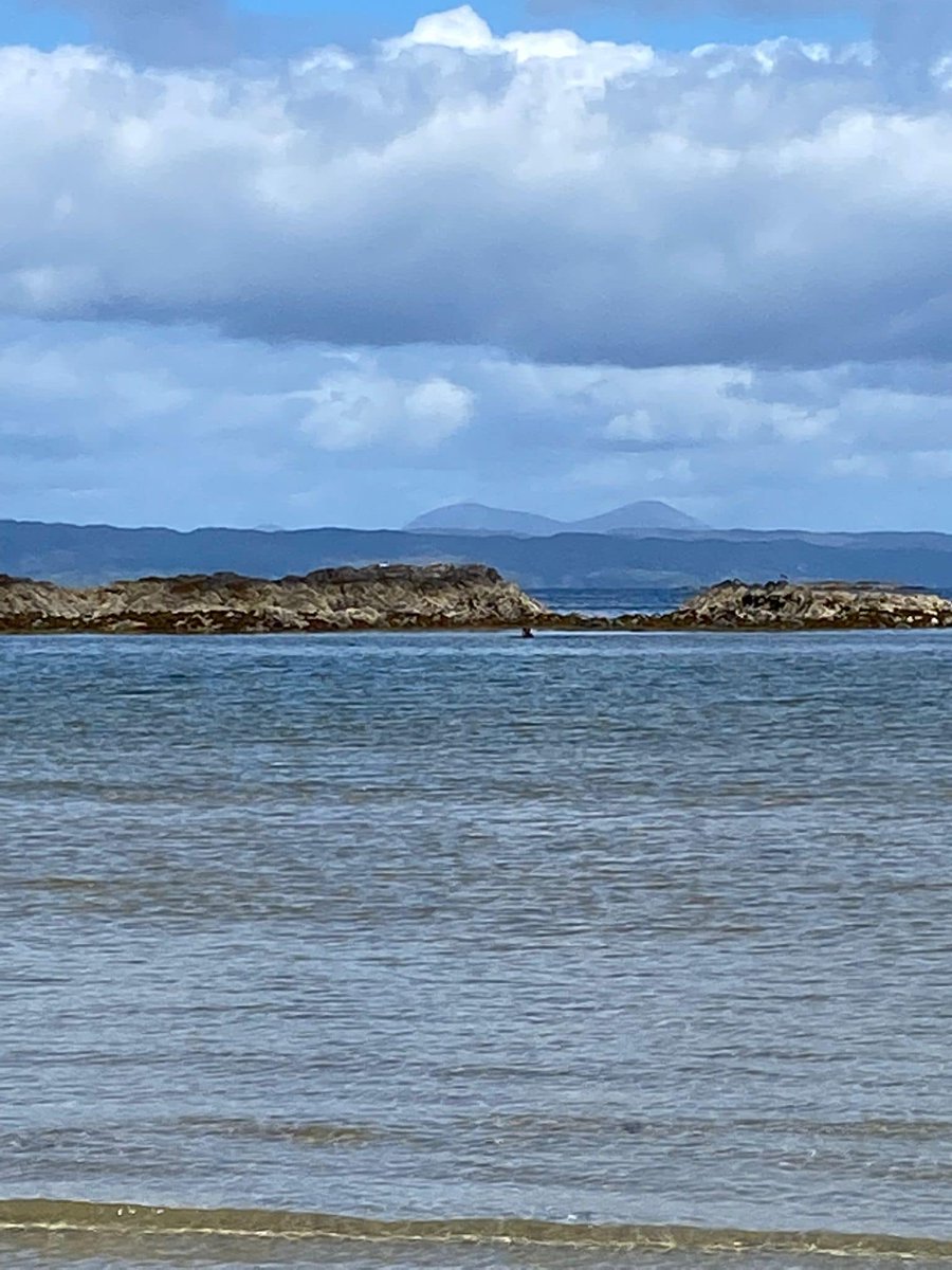 Dr Lindsay Findlay-King tweet media