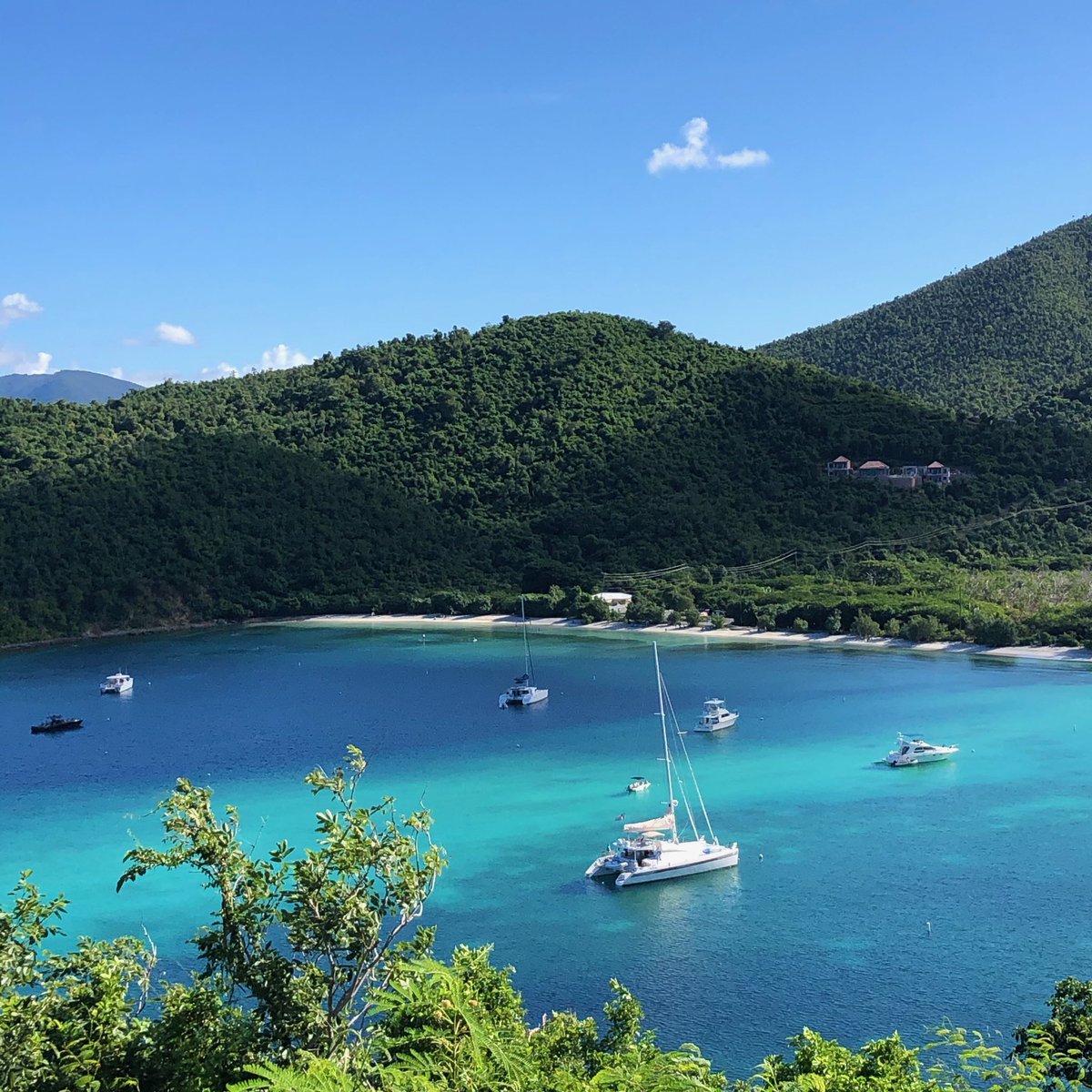 FriendsVINP's tweet photo. “Study nature, love nature, stay close to nature. It will never fail you.”#FrankLloydWright 🌊
Help protect &amp; preserve : https://t.co/MuBYMSOT4r 🐢💙
📷 Maho Bay #VirginIslandsNationalPark 
#stjohnusvi #stjohnvi #usvi #nationalpark #nationalparkgeek #vinationalpark #findyourpark https://t.co/4vGiqvmZHT