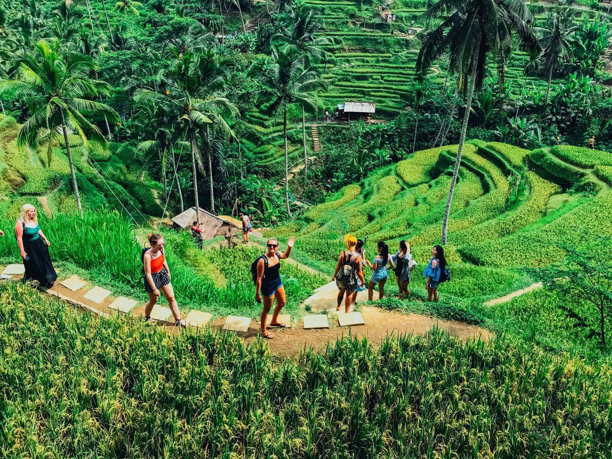 Whereabouts Holidays tweet media