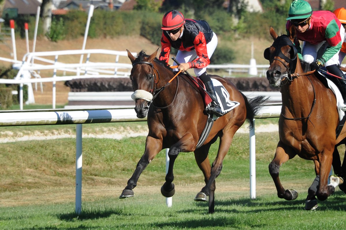 lefebvrefabien1's tweet photo. 🌟100%🌟
Moulins🇫🇷

Promising 5th place with #MagicLegs🐎 for her come back after 8 month out of competition.

Trainer: Sindy Marsch

📸 Christophe Morlat https://t.co/xNQjwrJjim