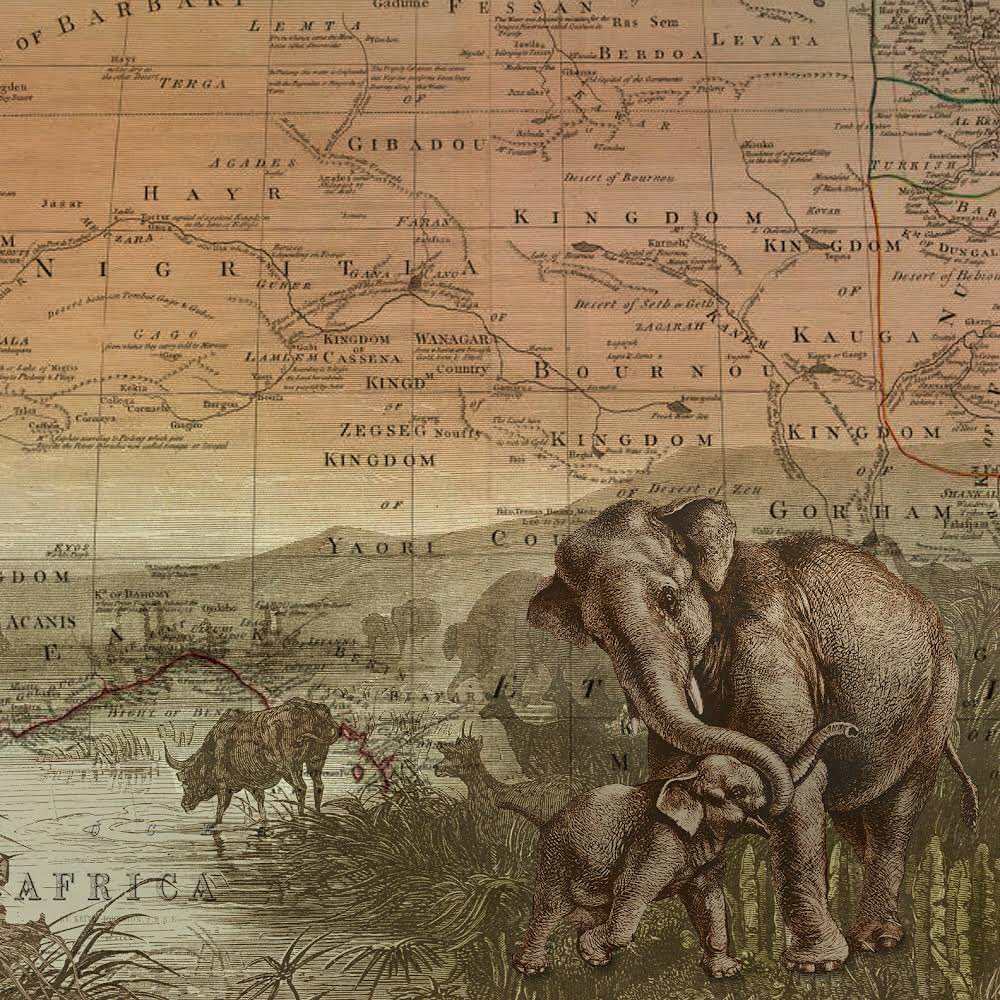 wendygoldstudio's tweet image. Celebrate #WorldElephantDay with this adorable close-up of our Safari Travels World Push Pin Map.
#BabyElephant #PinMap