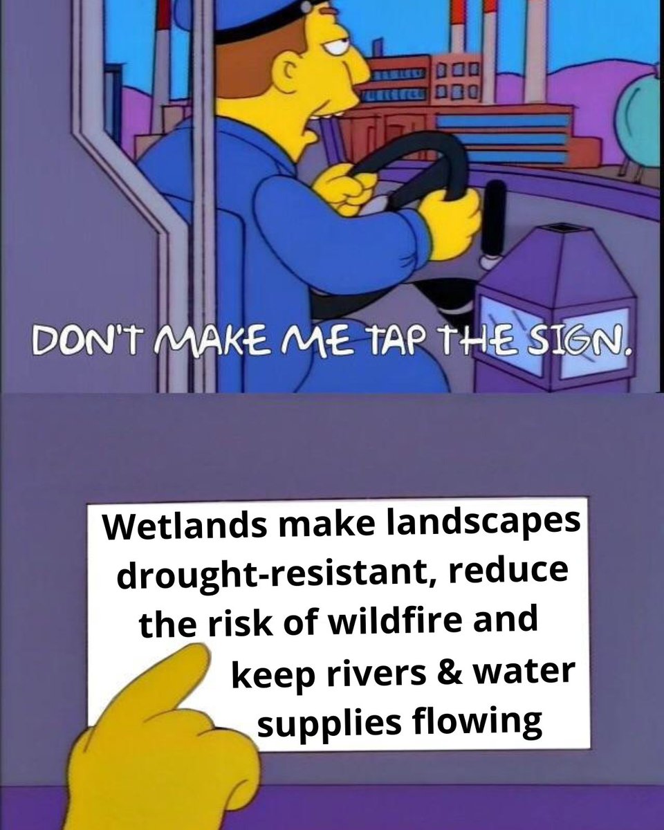 *clears throat*

#Heatwave #Drought #ClimateChange