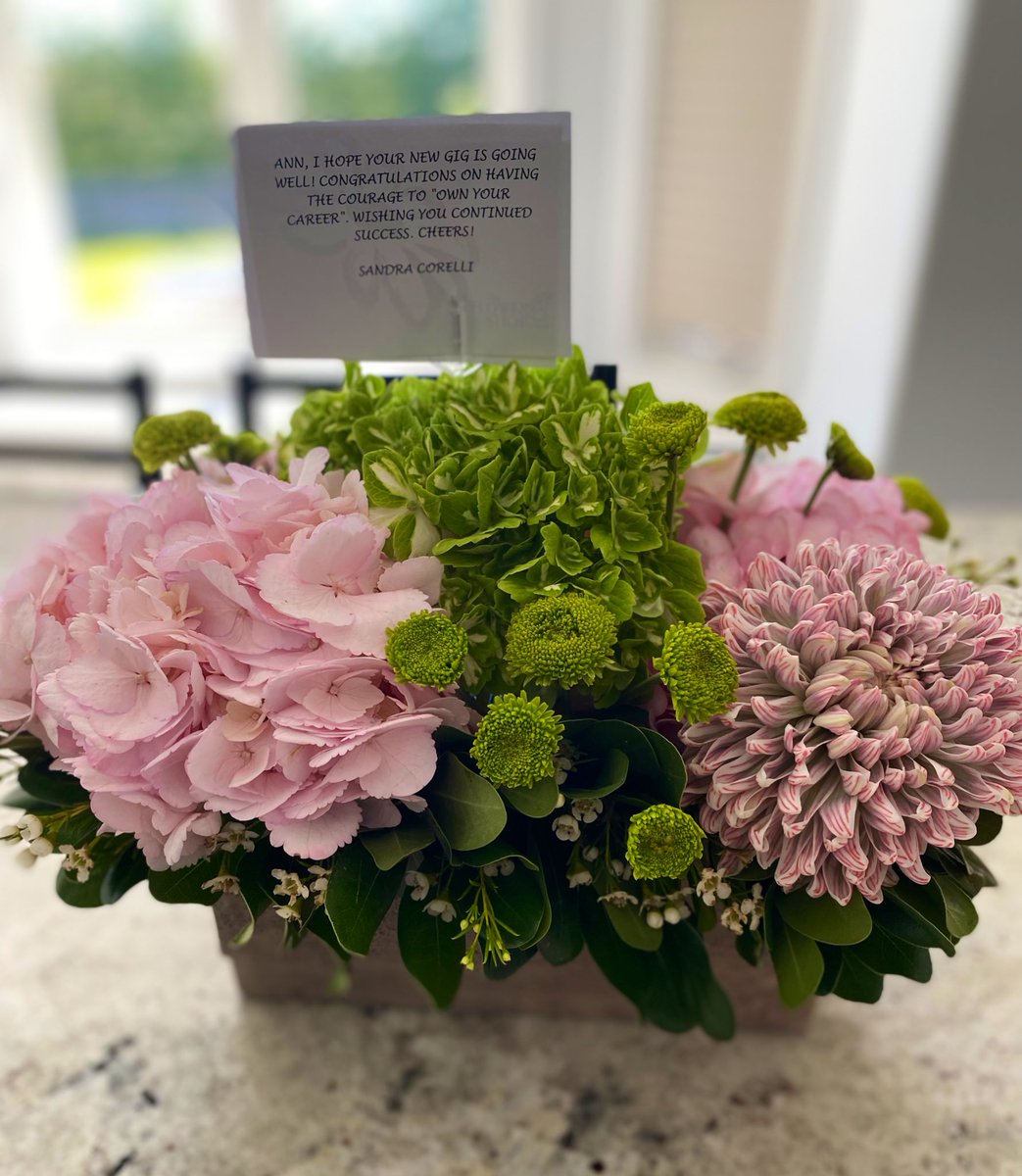 Ann Diab (She/Her) tweet media