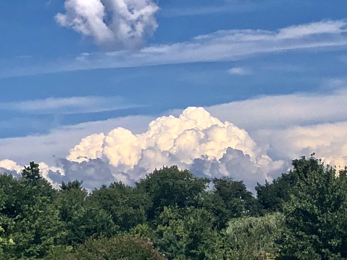 Pastor_Jim's tweet photo. #Psalm47
Sing praises to God, sing praises! Sing praises to our King, sing praises! For God is the King of all the earth; sing praises with a psalm! Psalm 47:6-7 #PsalmForToday #mymorningpromenade🏃 #stuffiliketolookat https://t.co/tivDTE4xzT