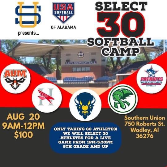 USA SOFTBALL OF ALABAMA tweet media