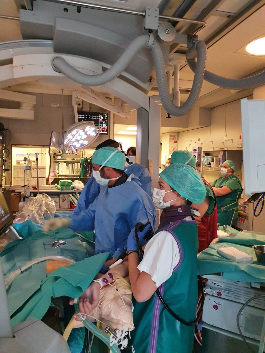 Ralph Gnannt tweet media