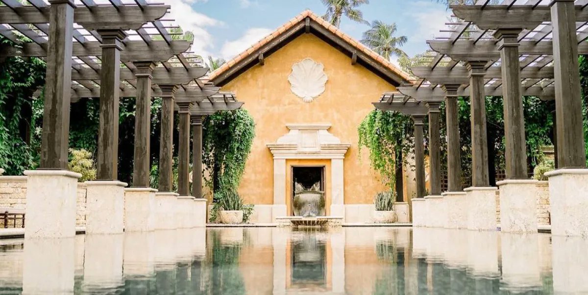 Wellth Collective tweet media