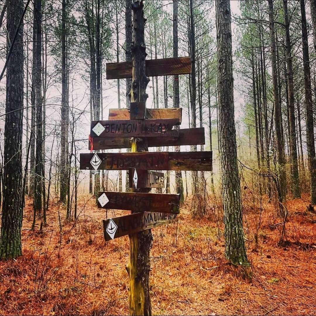PKDawning's tweet photo. Find me way out there... 

"I belong bodily to the earth
I'm just wearing old bones from those who came first"

@LordHuron #WayoutThere #WitchoftheWood #StrangersHollow #ThisisAppalachia https://t.co/1CSd0kfZuy