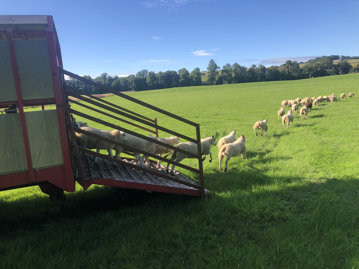Andrew Marchant (@marchantandrew) on Twitter photo Busy week, could do with the school holidays to be a bit longer though! Busy week, could do with the school holidays to be a bit longer though!
