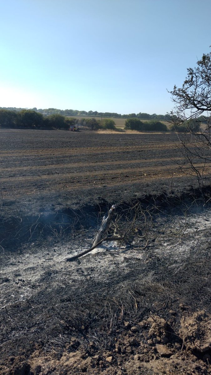 ECFRS's tweet photo. Firefighters have contained a field fire that affected 37 hectares of stubble in Hollow Lane, Broomfield.
Sixteen crews are currently working to extinguish the fire and dampen down surrounding hedgerows.
Read more: https://t.co/dpHrhYA7kz https://t.co/AFyDVcFwQd