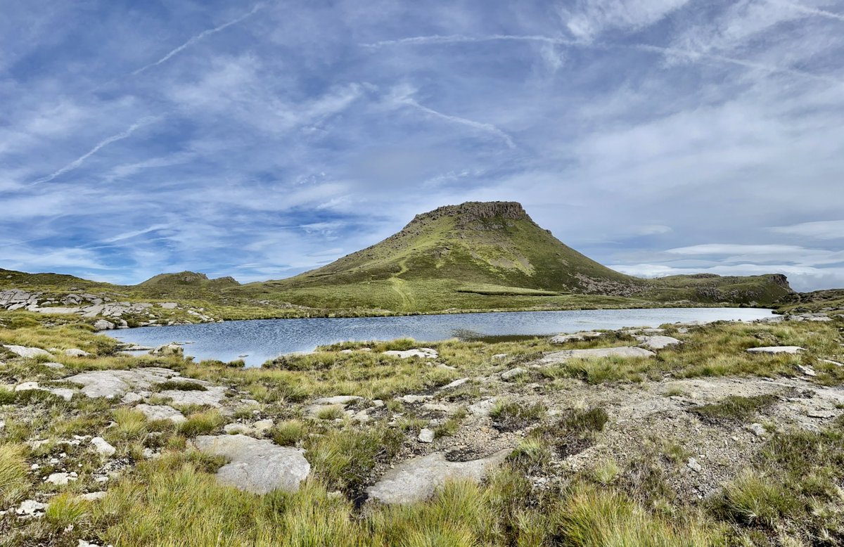 Ilona Turnbull tweet media