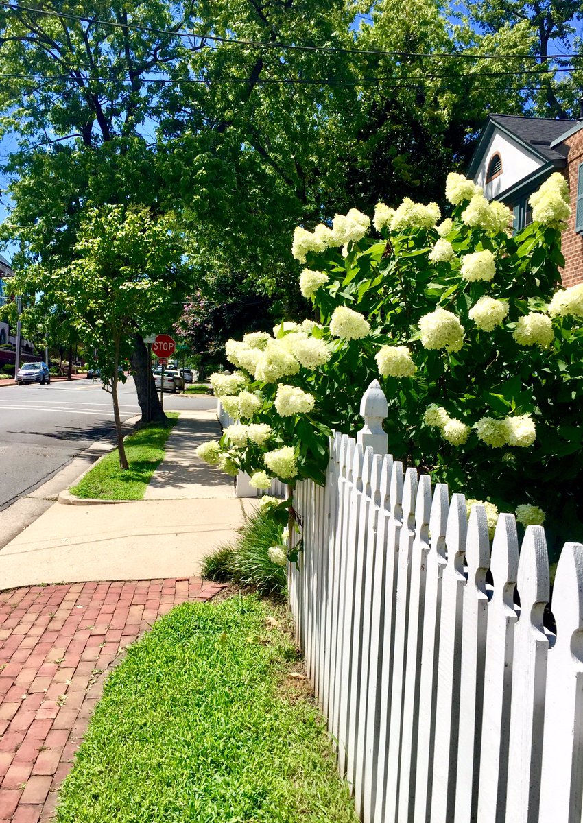 HobanGirl's tweet photo. Brief breakaway to tend to DYI following yesterday’s trek to ACE. Some girls frequent nail salons, some prefer hardware stores.💁♀️ Guilty! Snapped pics tho’. #OldTown #Alexandria #QueenSt #FranklinSt — love the small hometown yet urbane vibe https://t.co/MAl58IHBVG