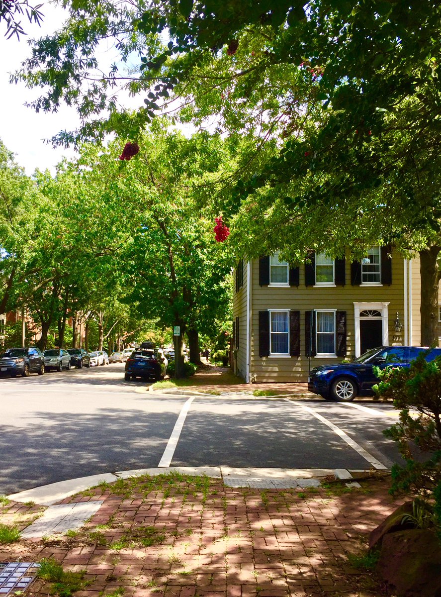 HobanGirl's tweet photo. Brief breakaway to tend to DYI following yesterday’s trek to ACE. Some girls frequent nail salons, some prefer hardware stores.💁♀️ Guilty! Snapped pics tho’. #OldTown #Alexandria #QueenSt #FranklinSt — love the small hometown yet urbane vibe https://t.co/MAl58IHBVG