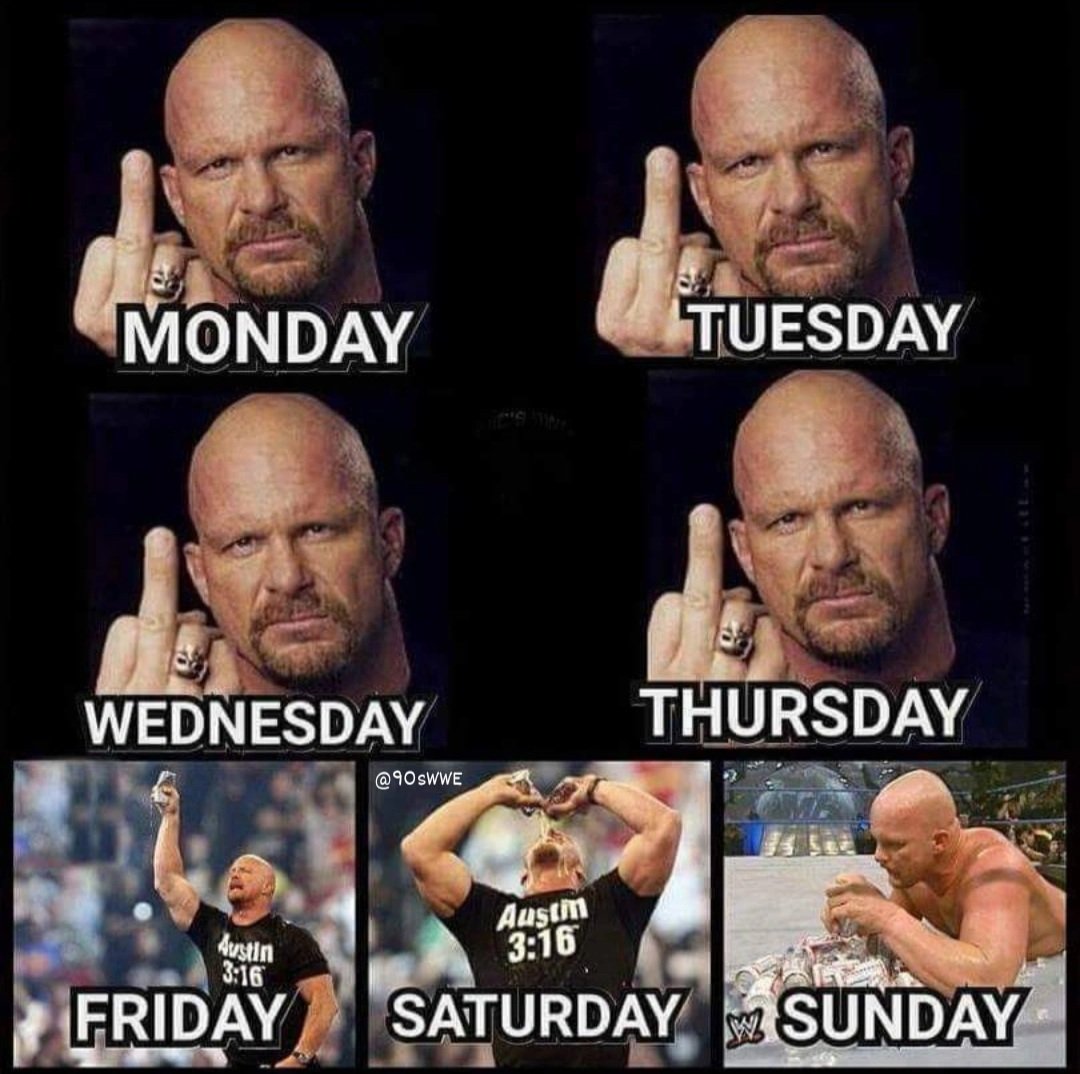 WrestleClips's tweet image. Days of the week explained by Stone Cold Steve Austin