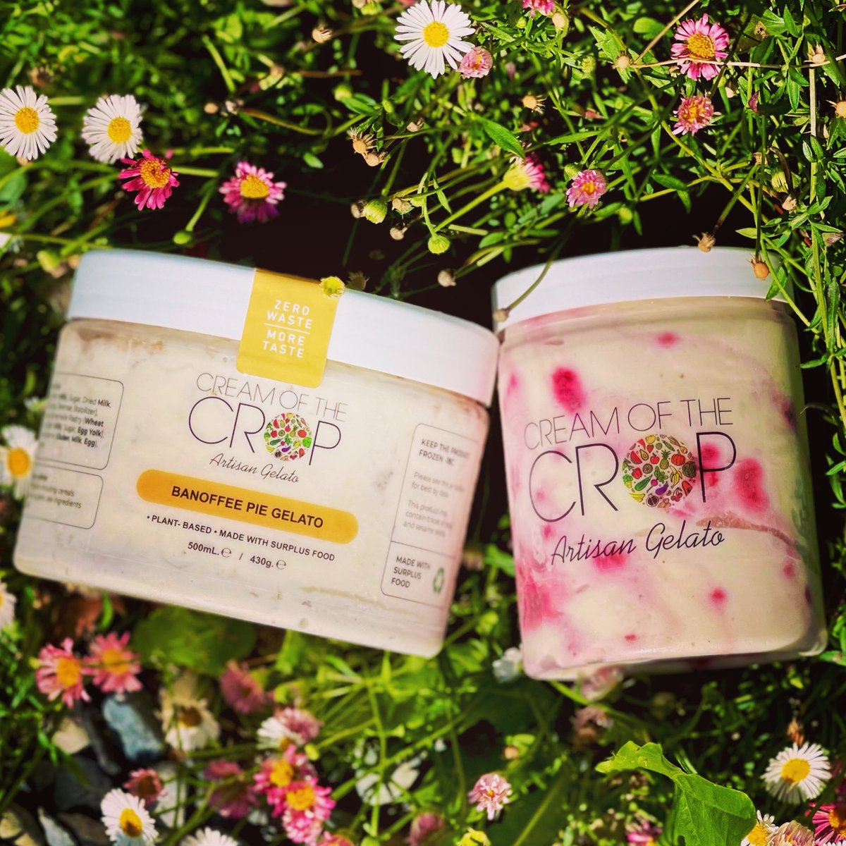 Keith Mahon tweet media