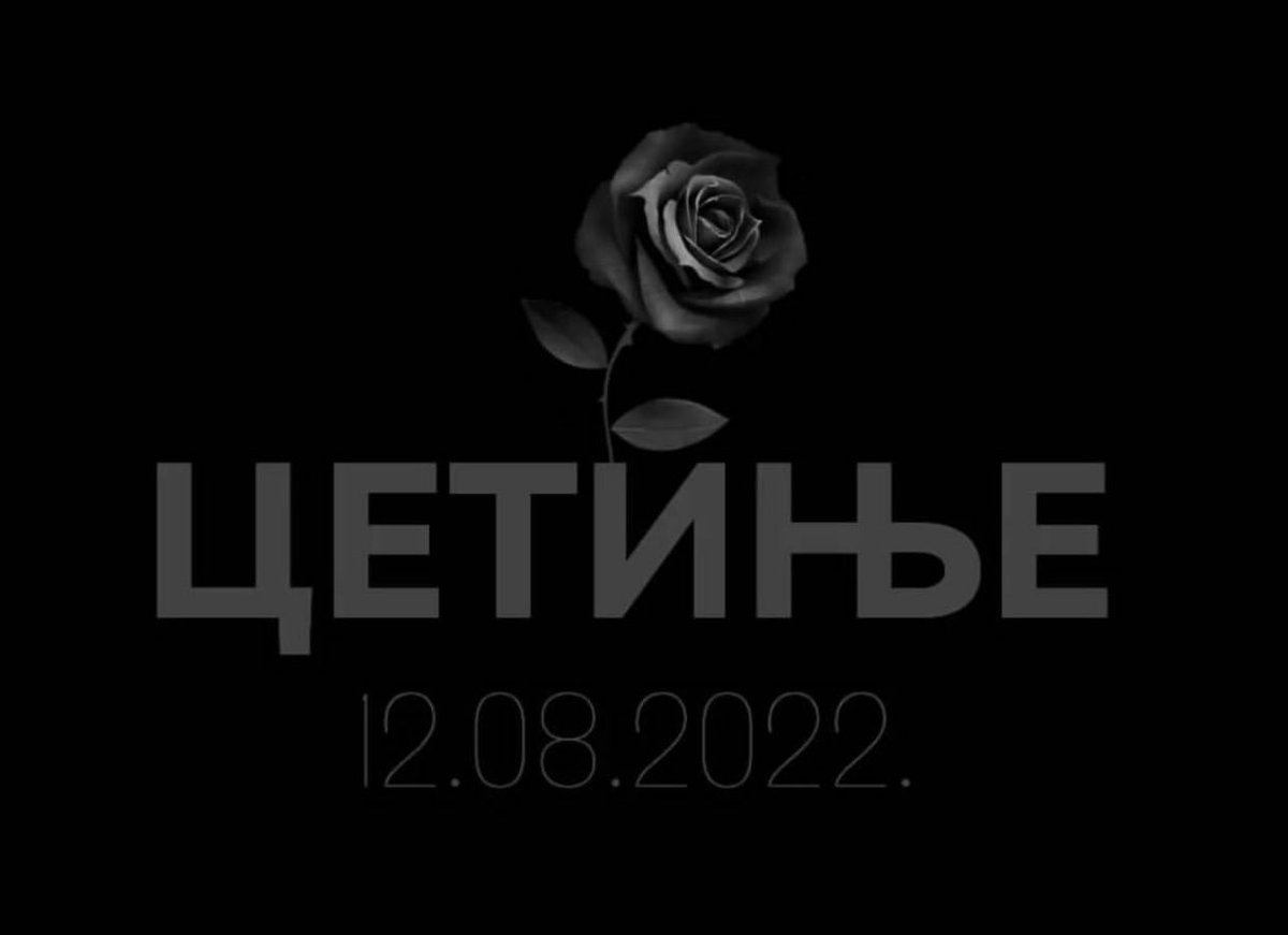 BAD SEED tweet media