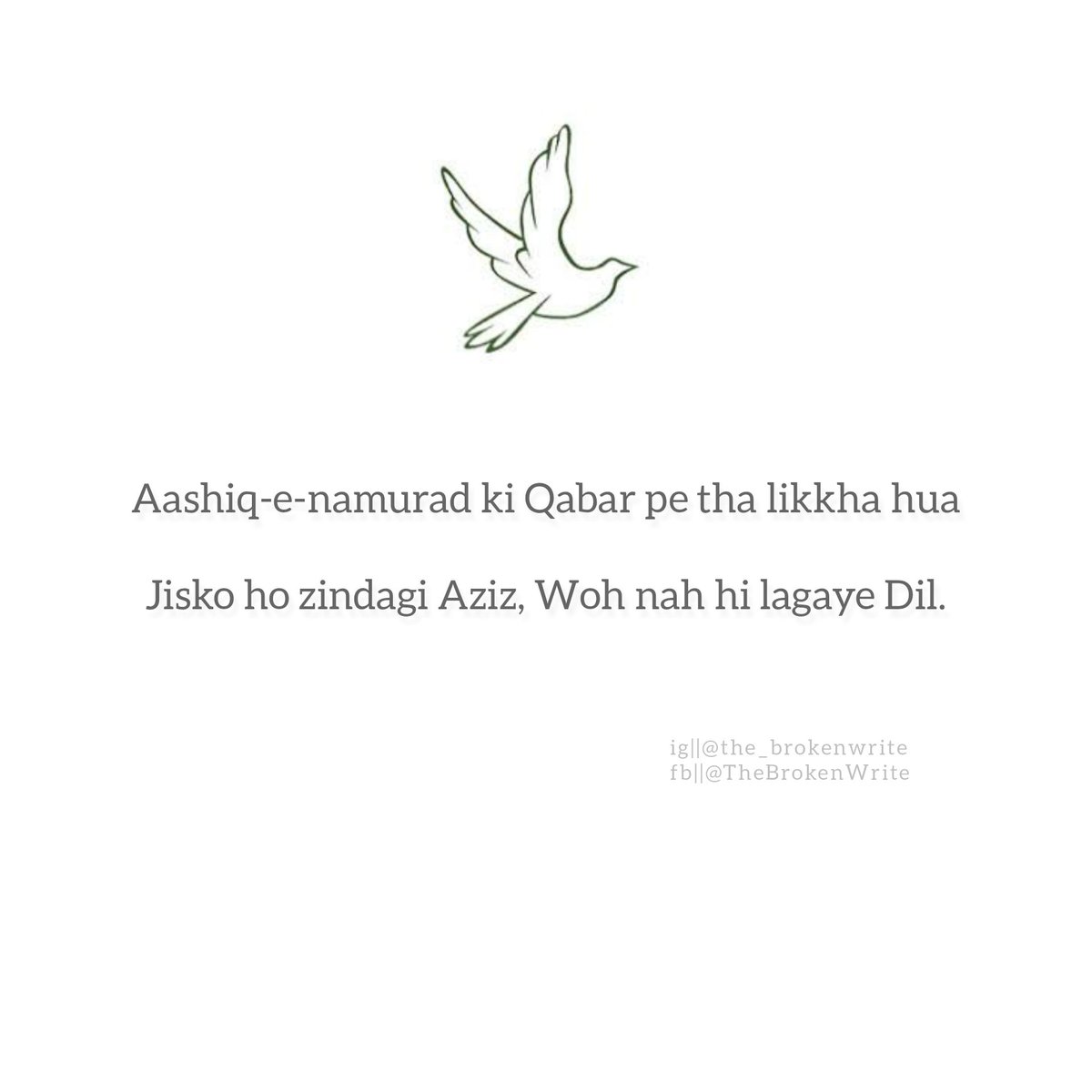 TheBrokenWrite's tweet image. #the_brokenwrite
#TheBrokenWrite
.
.
.
.
.
.
.
.
.
.
.
#India #Indian #urduwood #urdu #poetrycommunity #poetrytwitter #poetry #ghazal #gulzar #allamaiqbal #TwitterOfTime