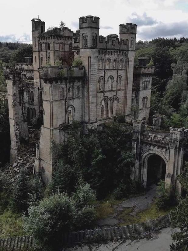 Simonal65407906's tweet image. 