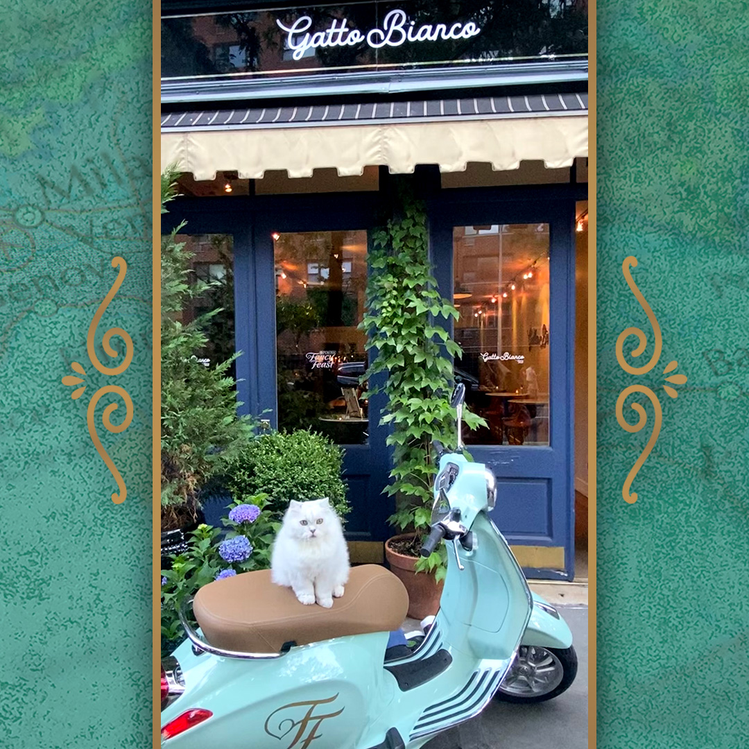 Last night was the grand opening of Gatto Bianco and it was purr-fect. We can’t wait to serve up more culinary delight for cat lovers tonight.
