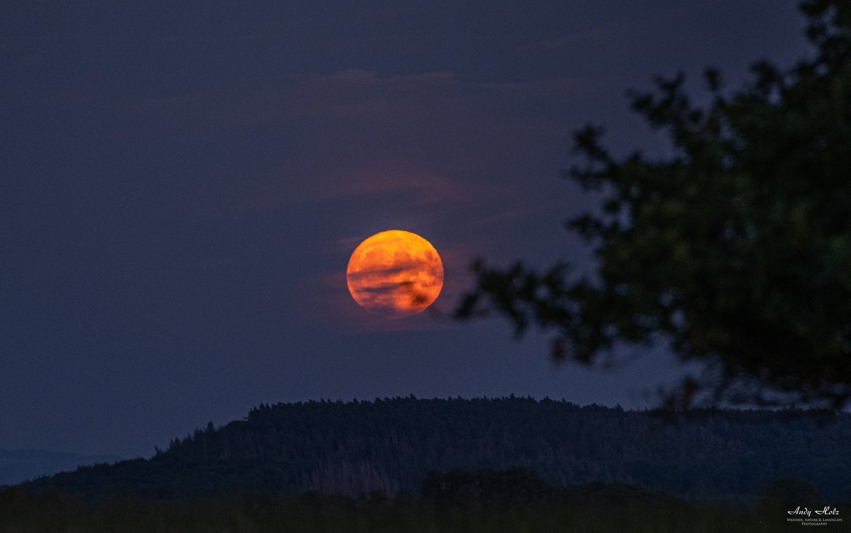 Der #Getreidemond am Donnerstagabend über der Rureifel 

#Vollmond #supermoon #supermond #Eifel