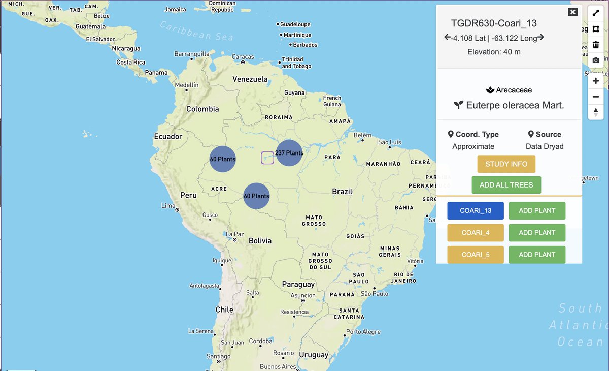 TreeGenes's tweet image. FEATURED STUDY: #GeneticStructure in populations of Euterpe precatoria Mart. in the #Brazilian #Amazon
By: Santiago Linorio Ferreyra Ramos, Gabriel Dequigiovanni, Maria Teresa Gomes Lopes, et al.
#TGDR630 has 357 #plants in #CartograPlant: treegenesdb.org/cartogratree?a…
