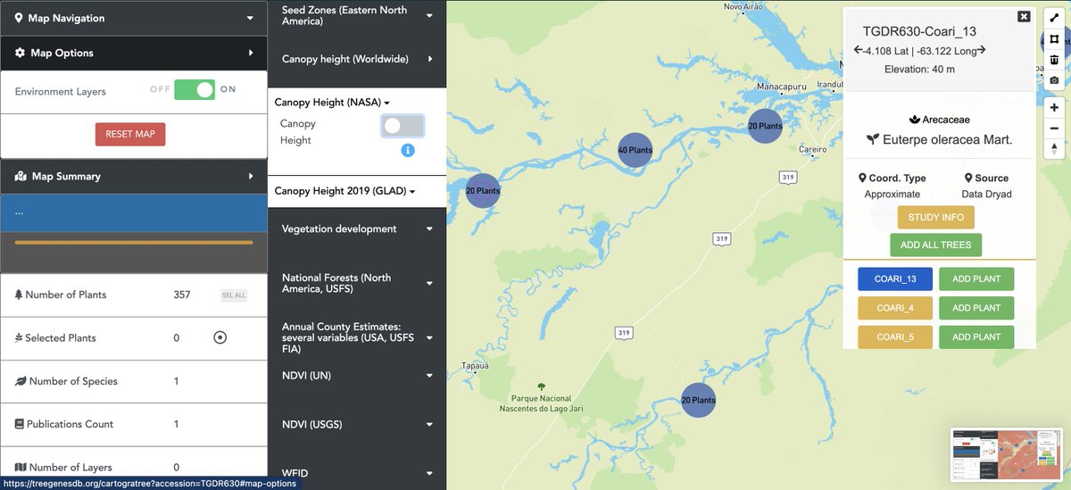 TreeGenes's tweet image. FEATURED STUDY: #GeneticStructure in populations of Euterpe precatoria Mart. in the #Brazilian #Amazon
By: Santiago Linorio Ferreyra Ramos, Gabriel Dequigiovanni, Maria Teresa Gomes Lopes, et al.
#TGDR630 has 357 #plants in #CartograPlant: treegenesdb.org/cartogratree?a…
